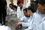 Aula de anatomia dos sistemas abre corações