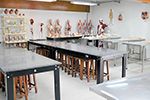 Laboratório de Anatomia