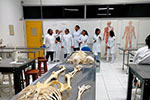 Estudantes de Enfermagem vivenciam a importância da Anatomia e da Osteologia em prática de laboratório