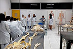 Estudantes de Enfermagem vivenciam a importância da Anatomia e da Osteologia em prática de laboratório