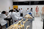 Estudantes de Enfermagem vivenciam a importância da Anatomia e da Osteologia em prática de laboratório
